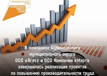 В компаниях Буденновского муниципального округа ООО «Агат» и ООО Компании «Март» завершилась реализация проектов по повышению производительности труда.